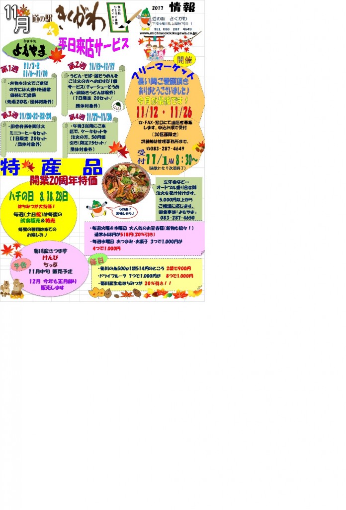 11ホームページチラシ