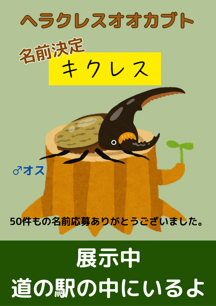 お名前募集中 (2)
