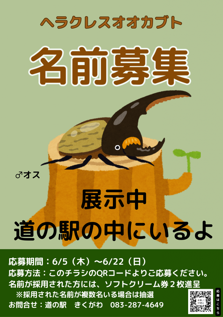 ホームページ用